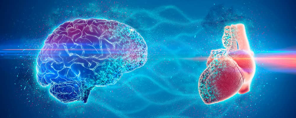 La influencia del estrés psicológico en la fisiología del sistema cardiovascular